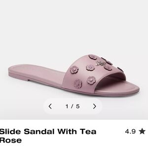 NIB, Coach Tea Rose Slide Sandals - Light Purple Women's Size 8